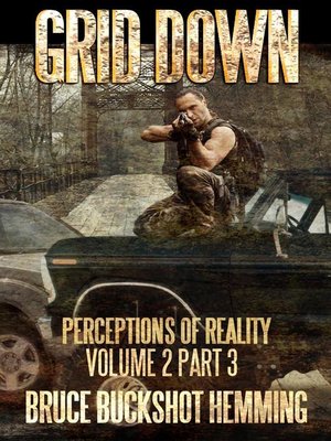 cover image of Grid Down Perceptions of Reality